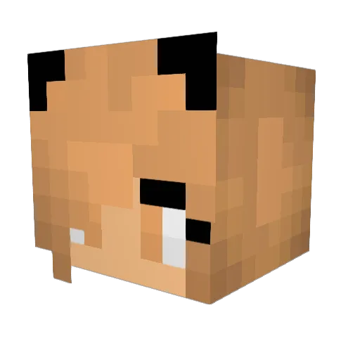 Taycupcake Minecraft avatar head, 3D render