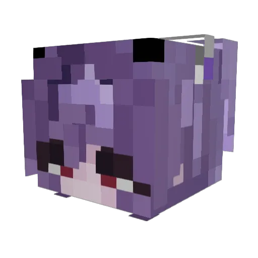 Taygah Minecraft avatar head, 3D render