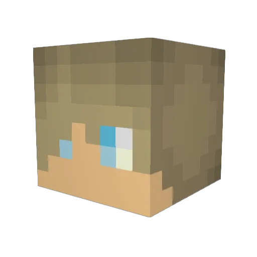 TaylaF11 Minecraft avatar head, 3D render