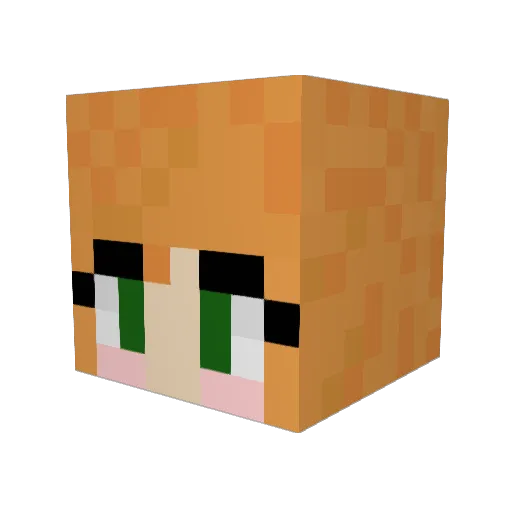 TaylanBeBe Minecraft avatar head, 3D render
