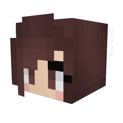 Taylin Minecraft avatar head, 3D render