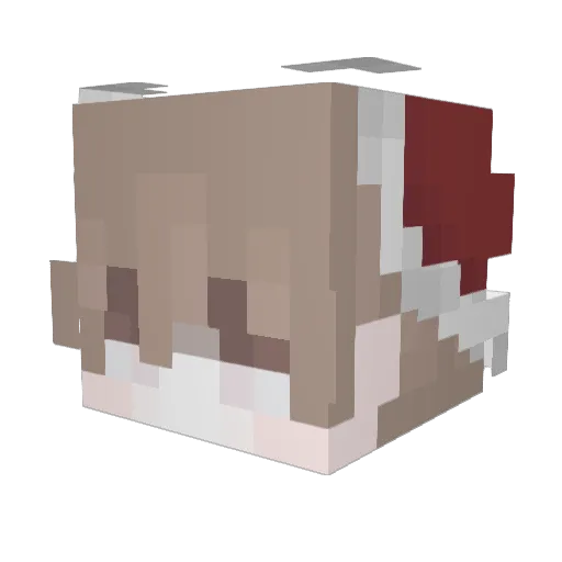 Taylor006 Minecraft avatar head, 3D render