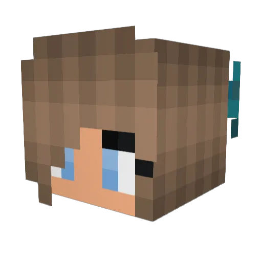 Taylor11_13 Minecraft avatar head, 3D render
