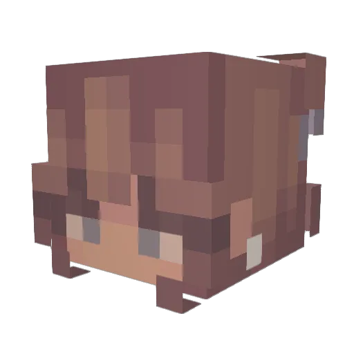 Taylor13333 Minecraft avatar head, 3D render