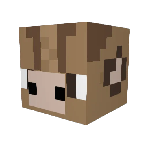 Taylor901 Minecraft avatar head, 3D render