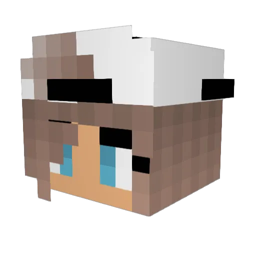 TaylorAnne10 Minecraft avatar head, 3D render