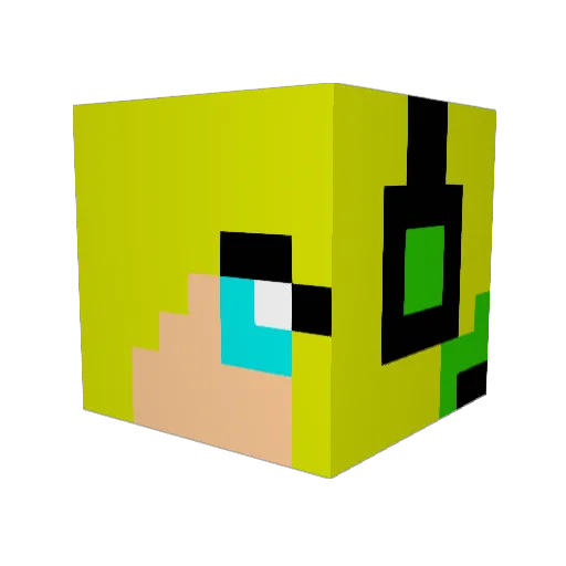 TaylorCrafts Minecraft avatar head, 3D render