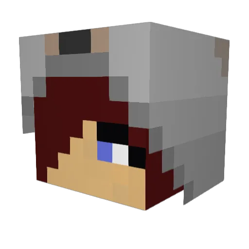 TaylorDianne Minecraft avatar head, 3D render