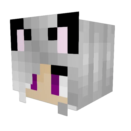 TaylorEileen Minecraft avatar head, 3D render