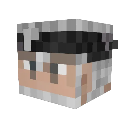 TaylorJun Minecraft avatar head, 3D render