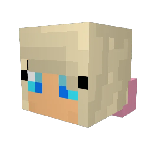TaylorMadeRBZ Minecraft avatar head, 3D render