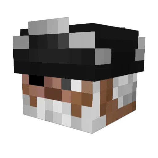 TaylorNox Minecraft avatar head, 3D render