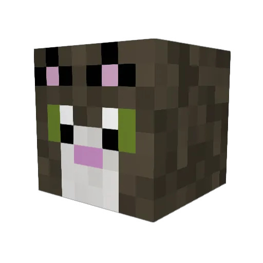 TaylorRaiyne Minecraft avatar head, 3D render