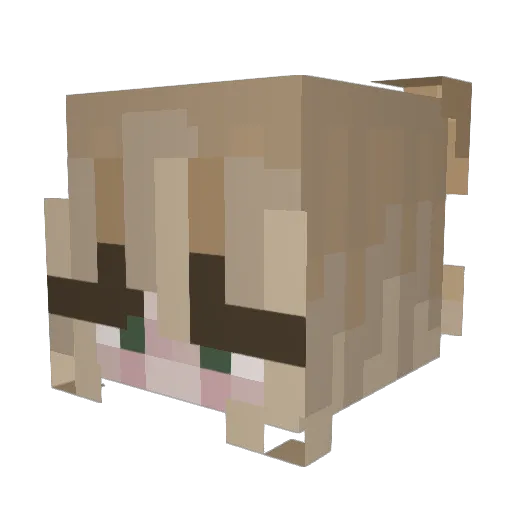 TaylorStyles Minecraft avatar head, 3D render