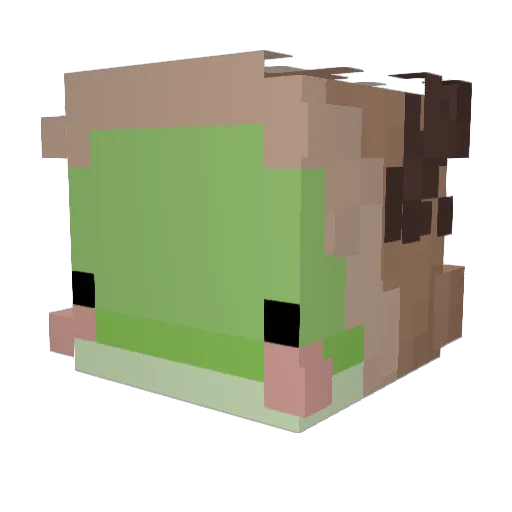 TaylorTot14 Minecraft avatar head, 3D render