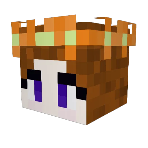 TaylorWisp Minecraft avatar head, 3D render