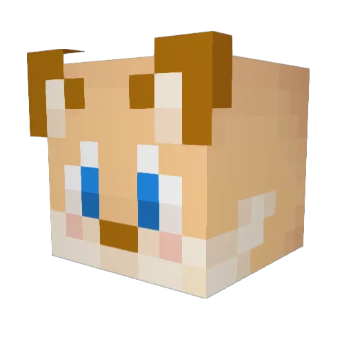 Taylor_Fawks Minecraft avatar head, 3D render