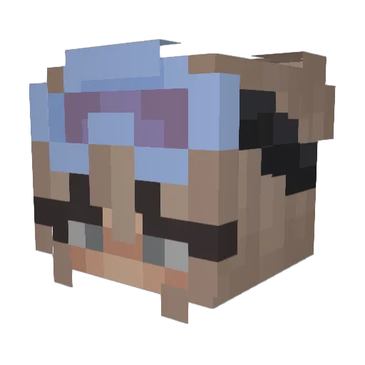 Taylor_Tot816 Minecraft avatar head, 3D render