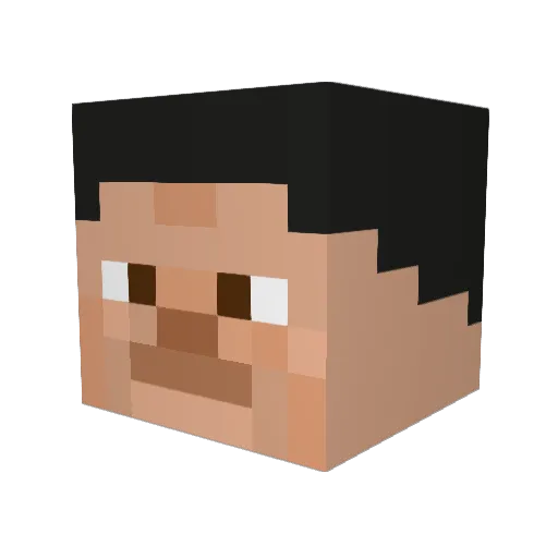 Taylorb766 Minecraft avatar head, 3D render