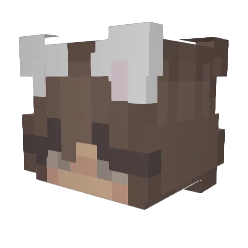 Taylorgamer9523 Minecraft avatar head, 3D render