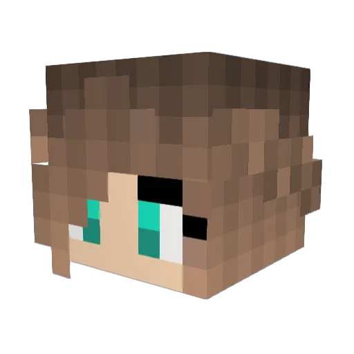 Taylorguineapigs Minecraft avatar head, 3D render