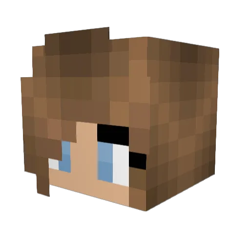 Taylorkrose Minecraft avatar head, 3D render