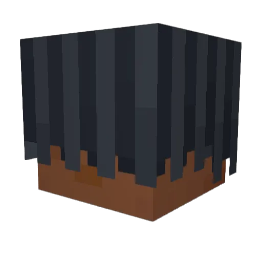 TaylorxGangx228 Minecraft avatar head, 3D render