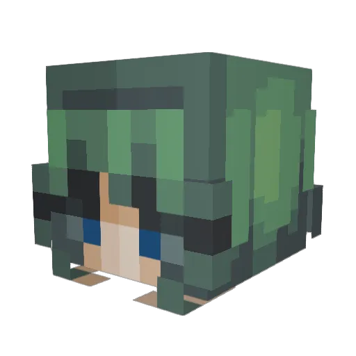 Taymarpigeon Minecraft avatar head, 3D render