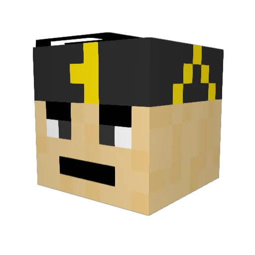 Tayo2000 Minecraft avatar head, 3D render
