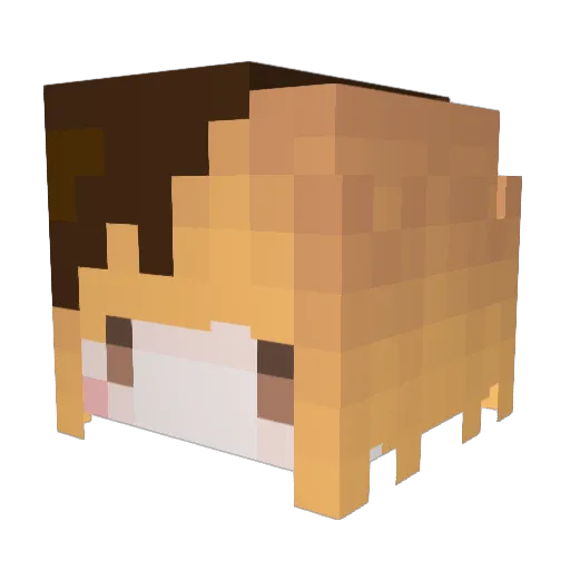 Tayosu Minecraft avatar head, 3D render