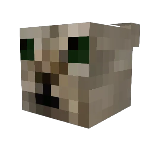 Tayrc Minecraft avatar head, 3D render
