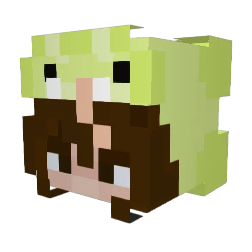 TaysCrocs Minecraft avatar head, 3D render