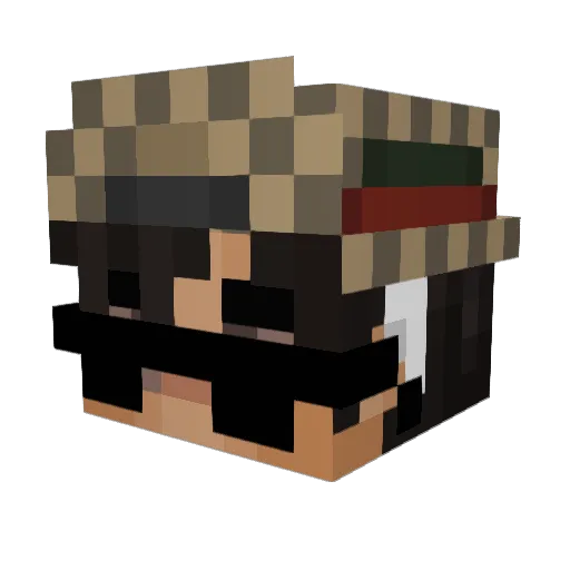 Tayson_Agri Minecraft avatar head, 3D render