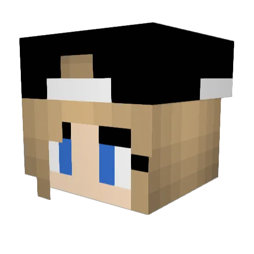 Tayswizle Minecraft avatar head, 3D render