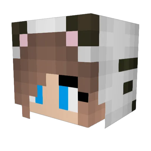 Tayter_doll19 Minecraft avatar head, 3D render