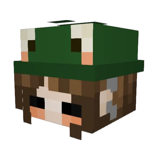 TaytioPotato Minecraft avatar head, 3D render
