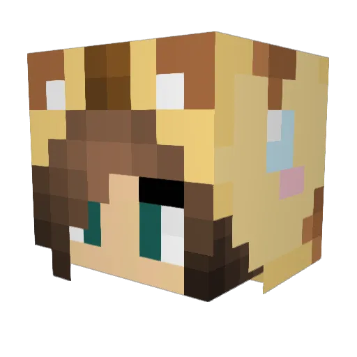 Taytor_Tot1 Minecraft avatar head, 3D render