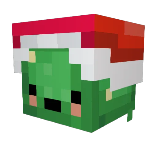 Tayzoh1999 Minecraft avatar head, 3D render