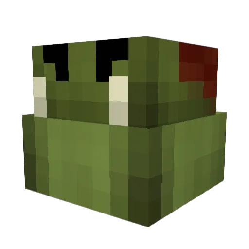 Taz1096 Minecraft avatar head, 3D render