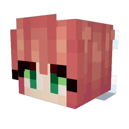 Tazafye Minecraft avatar head, 3D render