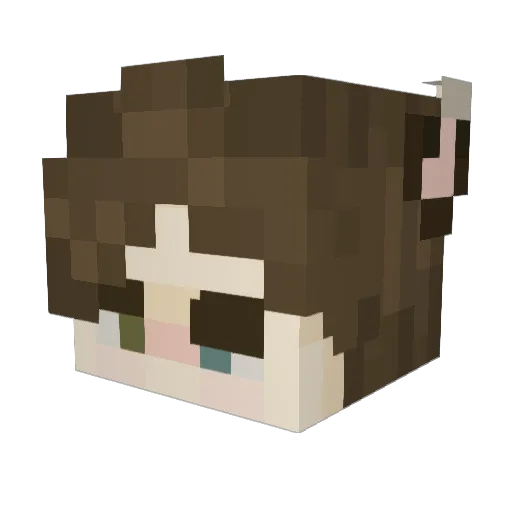 Tazvi Minecraft avatar head, 3D render