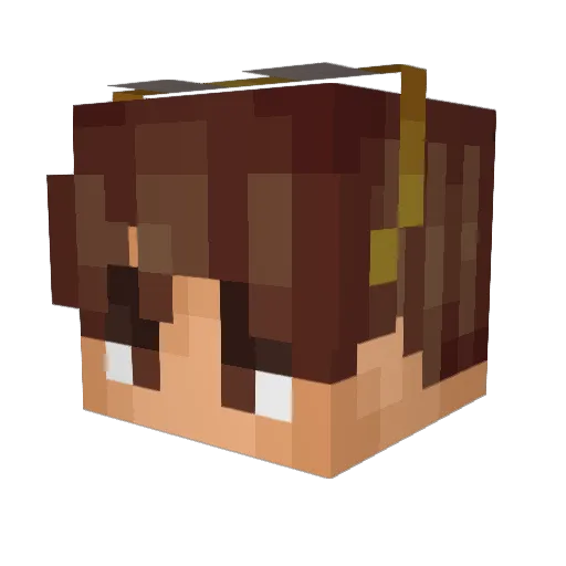 Tazy301 Minecraft avatar head, 3D render
