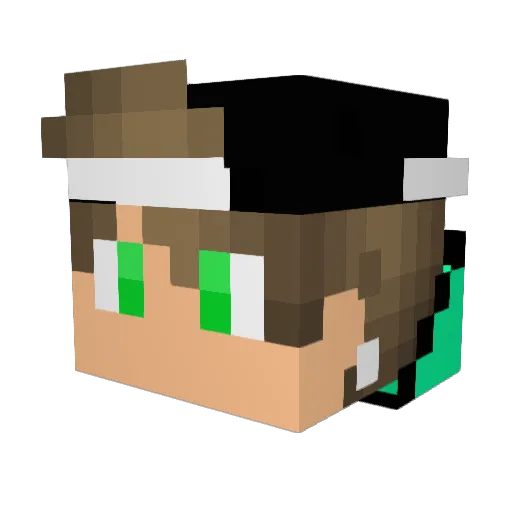 TbS_Moodz Minecraft avatar head, 3D render