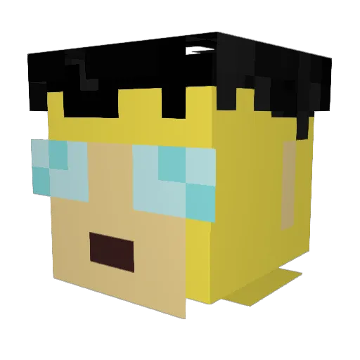 Tbag24 Minecraft avatar head, 3D render