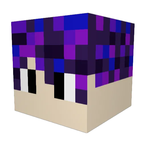 Tballer__ Minecraft avatar head, 3D render