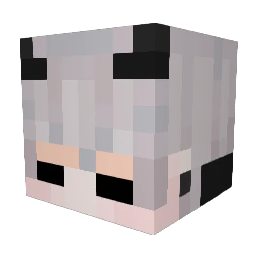 Tbear252 Minecraft avatar head, 3D render