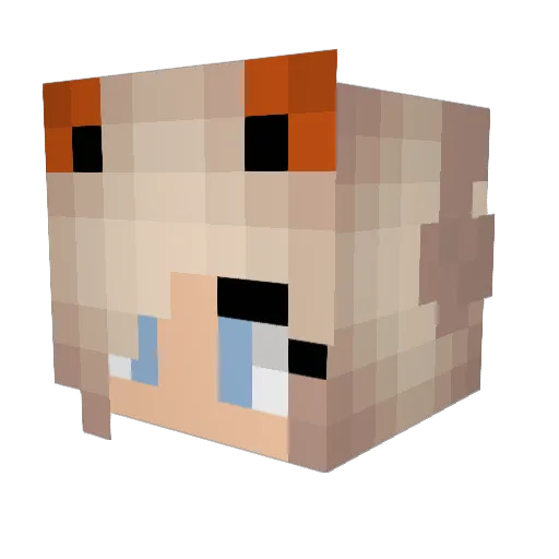 Tbear_2002 Minecraft avatar head, 3D render