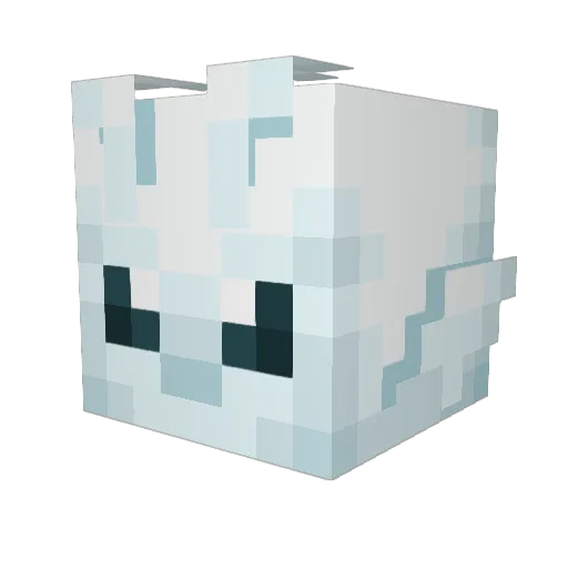 Tbixcards Minecraft avatar head, 3D render