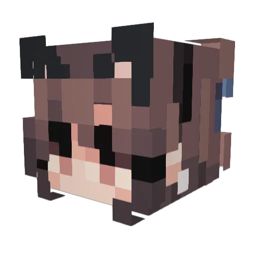 Tbone324_YT Minecraft avatar head, 3D render