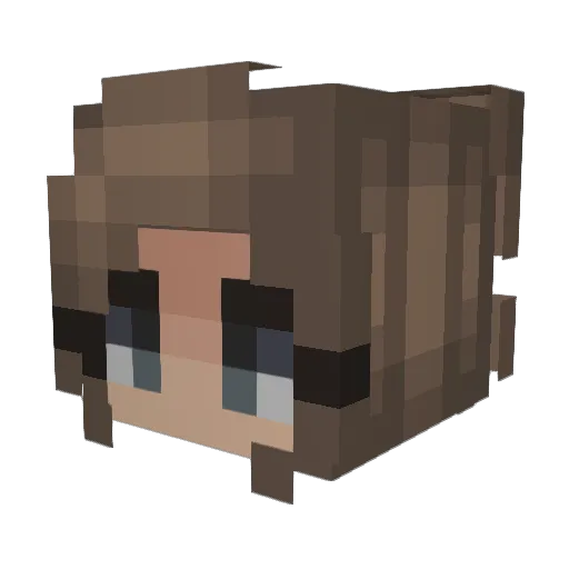 Tbooker7 Minecraft avatar head, 3D render